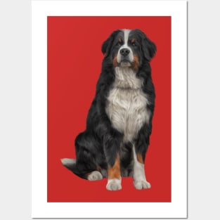 Bernese Mountain Dog Posters and Art